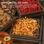 Trà Đông Trùng Hạ Thảo