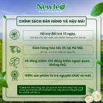 Combo 2 Gói Trà Oolong Xanh Cao Cấp Newtea