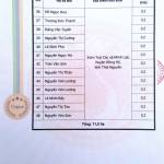 Nõn trà Minh Trí Tuệ Newtea 100G, Đặc sản Trà xanh Thái Nguyên, Trà Móc câu Cao cấp