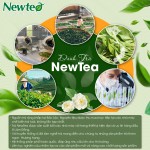 Combo 2 Gói Trà Hương Lài Cao Cấp Newtea 600G