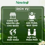 Combo 10 Gói Trà Olong Lài Cao Cấp Newtea 5000g - Pha Trà Sữa Cốm, Olong Nhài Sữa Phê La, Trà Trái Cây