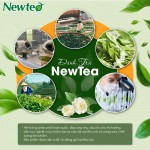 Combo 2 Gói Trà Olong Lài Cao Cấp Newtea 1000g - Pha Trà Sữa Cốm, Olong Nhài Sữa Phê La, Trà Trái Cây