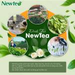 Combo 2 Gói Trà Sâm Dứa Cao Cấp Newtea 600G