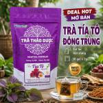 Trà Tía Tô Đông Trùng Thảo Dược Cao Cấp Newtea, Trà Túi Lọc Tiện Dụng, Gói 30 Túi Lọc x 2g