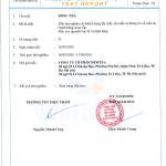 Combo 2 Gói Hồng Trà Cao Cấp Newtea Gói 1000gr - Chuyên Pha Chế Hồng Trà Long Nhãn, Trà Sữa, Hồng Trà Cam Xí Muội