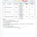Combo 2 Gói Hồng Trà Cao Cấp Newtea Gói 1000gr - Chuyên Pha Chế Hồng Trà Long Nhãn, Trà Sữa, Hồng Trà Cam Xí Muội
