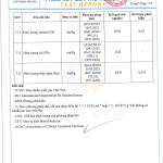Combo 10 Gói Lục Trà Lài Cao Cấp Newtea 5000gr - Pha Trà Chanh, Lục Trà Trái Cây, Lục Trà Sữa