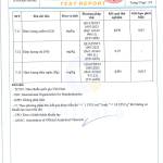 Combo 2 Gói Trà Olong Lài Cao Cấp Newtea 1000g - Pha Trà Sữa Cốm, Olong Nhài Sữa Phê La, Trà Trái Cây