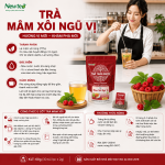 Trà Mâm Xôi Ngũ Vị Thảo Dược Cao Cấp Newtea 60g (30 Túi Lọc x 2g) - Trà Thảo Mộc, Vị Thanh Mát, Túi Lọc Tiện Lợi