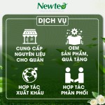 Trà Mâm Xôi Ngũ Vị Thảo Dược Cao Cấp Newtea 60g (30 Túi Lọc x 2g) - Trà Thảo Mộc, Vị Thanh Mát, Túi Lọc Tiện Lợi