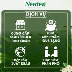 LỤC TRÀ LÀI TÚI LỌC Newtea Cao Cấp 125g (25 gói) - Chuyên Dùng Pha Chế, Pha Trà Chanh, Lục Trà Trái Cây, Lục Trà Sữa