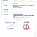 Trà Tía Tô Đông Trùng Thảo Dược Cao Cấp Newtea, Trà Túi Lọc Tiện Dụng, Gói 30 Túi Lọc x 2g