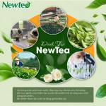 Hồng Trà Cao Cấp Newtea Gói 500gr - Chuyên Pha Chế Hồng Trà Long Nhãn, Trà Sữa, Hồng Trà Cam Xí Muội
