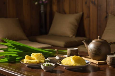 Nguồn Cung Cấp Trà Sâm Dứa Số Lượng Lớn Cho Quán Ăn, Nhà Hàng