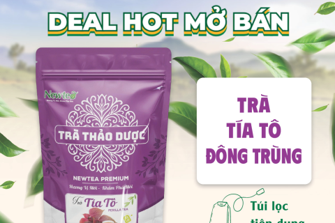 Trà Tía Tô Đông Trùng – Giải Pháp Nhẹ Nhàng Cho Người Hay Mệt, Cảm Gió