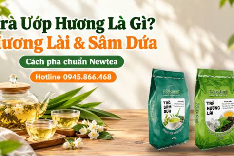 Trà Tiếp Khách Cho Spa, Salon: Nõn Trà, Túi Lọc, Hương Lài