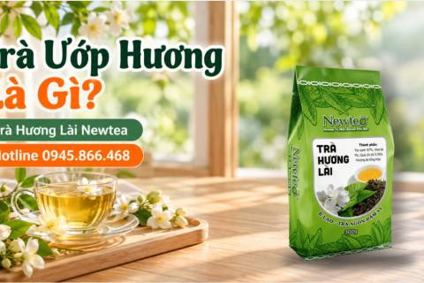 Trà Ướp Hương Là Gì? Trà Hương Lài Newtea