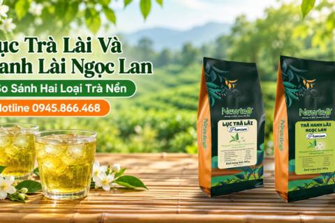 Trà Cho Tiệm Kem, Quán Chè: Thử Món Trà Trái Cây Từ Cốt