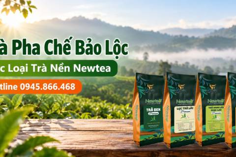 Trà Pha Chế Bảo Lộc: 6 Loại Trà Nền Newtea