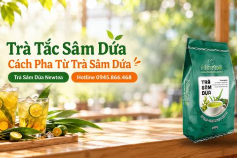 Trà Tắc Sâm Dứa: Cách Pha Trà Tắc Từ Trà Sâm Dứa Newtea