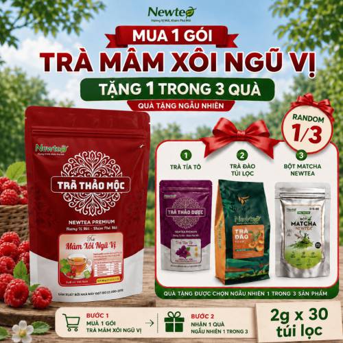 Trà Mâm Xôi Ngũ Vị Thảo Dược Cao Cấp Newtea 60g (30 Túi Lọc x 2g) - Trà Thảo Mộc, Vị Thanh Mát, Túi Lọc Tiện Lợi