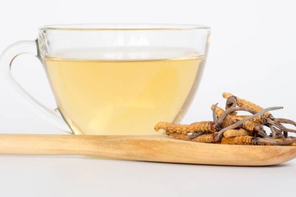 Trà Đông Trùng Hạ Thảo: Công Dụng, Cách Dùng Và Lưu Ý