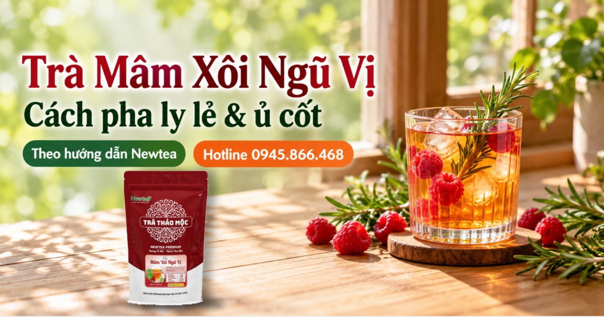 Trà Mâm Xôi Ngũ Vị Là Gì? Cách Pha Ly Lẻ Và Ủ Cốt